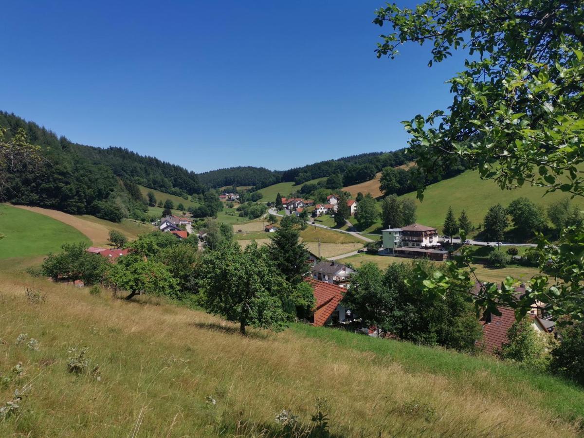 Hotel Gruener Baum Mit Restaurant & Wellness Oberzent Dış mekan fotoğraf