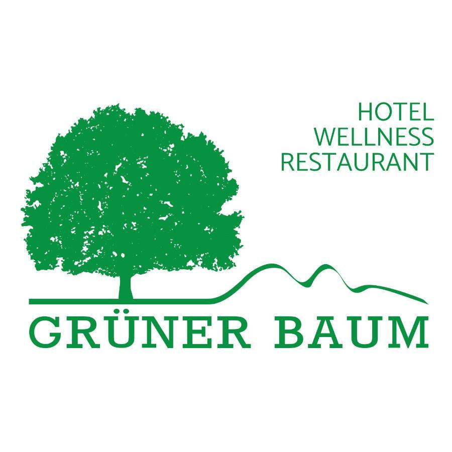 Hotel Gruener Baum Mit Restaurant & Wellness Oberzent Dış mekan fotoğraf