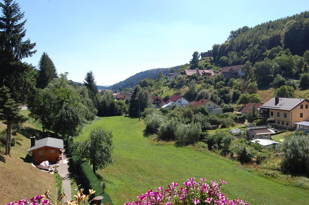 Hotel Gruener Baum Mit Restaurant & Wellness Oberzent Dış mekan fotoğraf