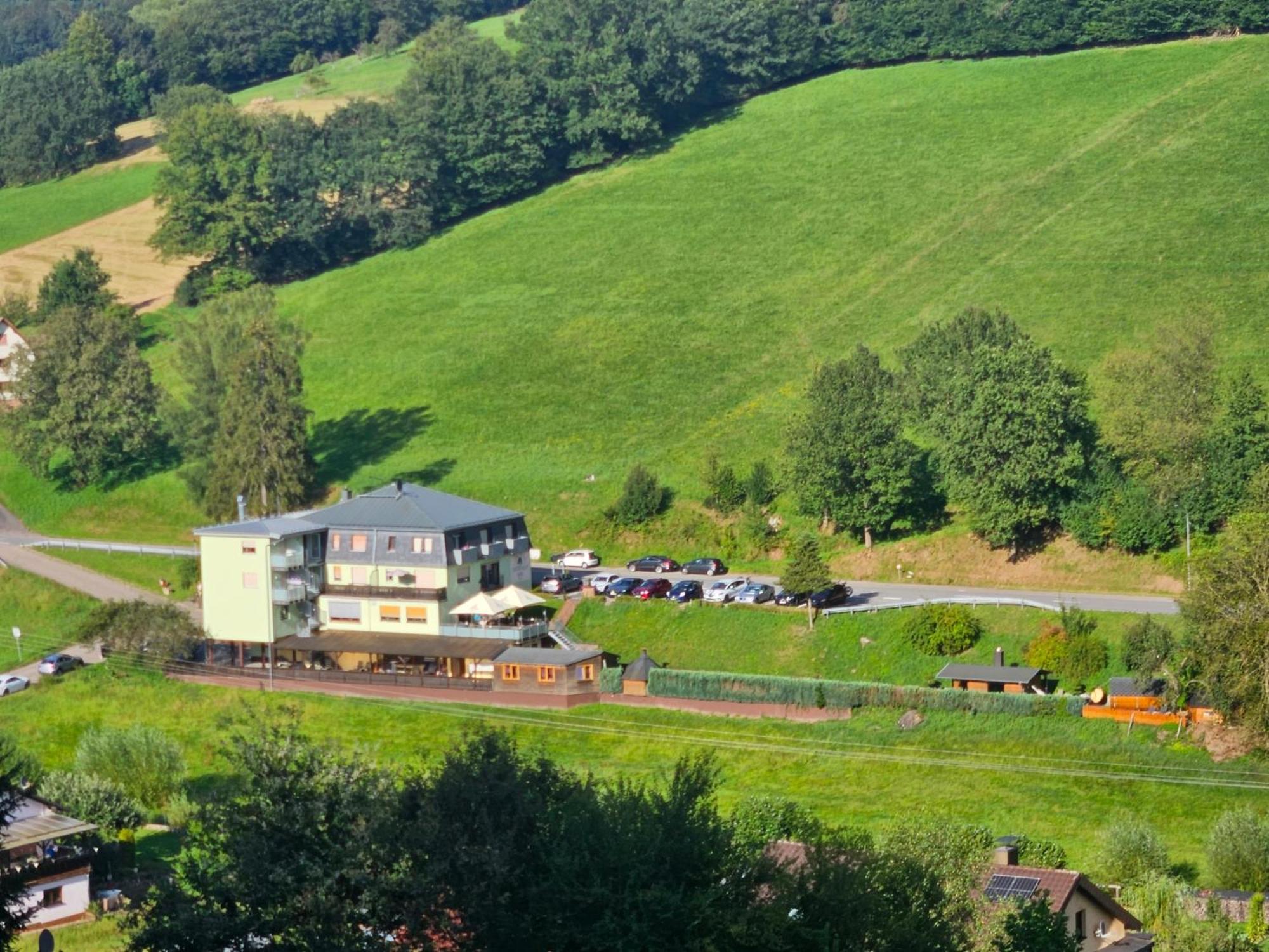 Hotel Gruener Baum Mit Restaurant & Wellness Oberzent Dış mekan fotoğraf