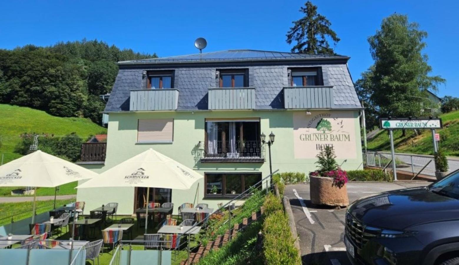 Hotel Gruener Baum Mit Restaurant & Wellness Oberzent Dış mekan fotoğraf